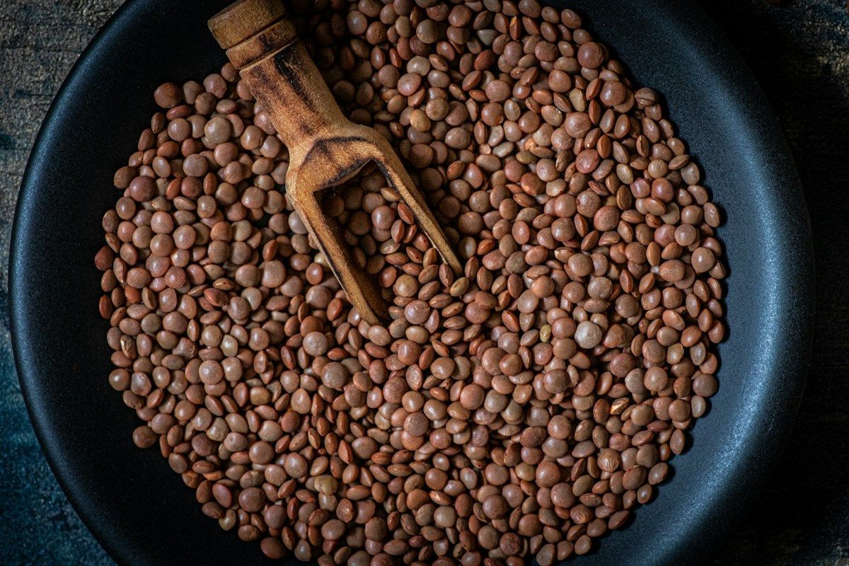 Suha rjava leča v temni posodi z leseno zajemalko